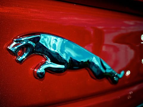 Jaguar Logo (Picture for illustrative purposes only)