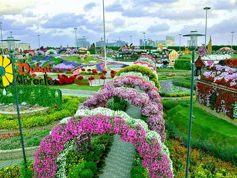 Dubai Miracle Garden to open on November 1