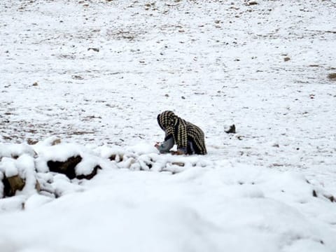Image of snow in Pakistan: Rains and avalanches damaged over two dozens houses, several shops and a mosque in these two regions.