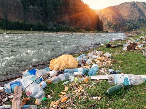 Plastic waste kills one million birds and more than 100,000 marine mammals every year.