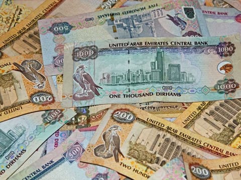 The UAE dirham was introduced in circulation for the first time on 19 May 1973.