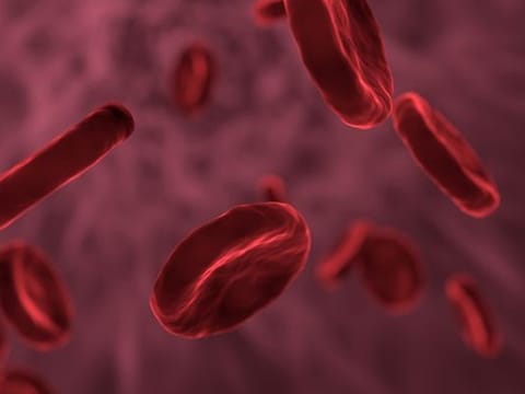 After ten months of rigorous serological and genetic analysis, the previously unknown antigen was identified and officially named CRIB.