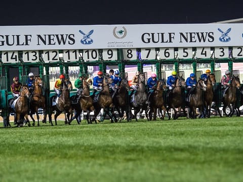 The 2021 edition of Dubai World Cup Carnival will be a seven-meeting affair and kick off on January 21.
