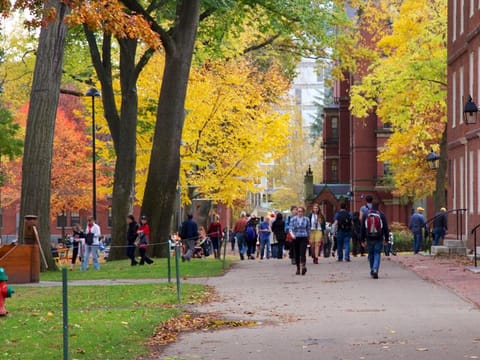 Harvard University is beginning to transition to virtual classes and hopes that transformation will be complete by March 23.