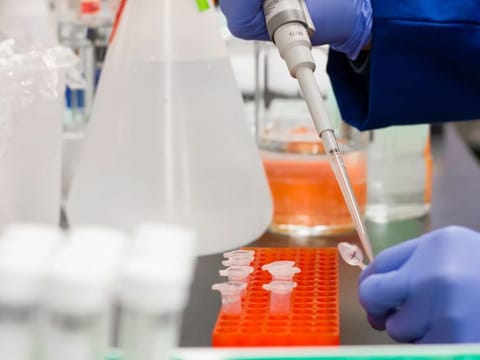 Coronavirus: UAE donates COVID-19 testing kits worth $10m to WHO