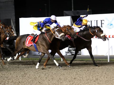 Gloria De Campeao, ridden by jockey Tiago Pereira (yellow hat), wins the keenly fought Dubai World Cup 2010 defeating Lizards Desire by a nose.