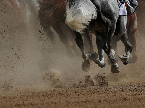 The Dubai World Cup will be held behind closed doors.