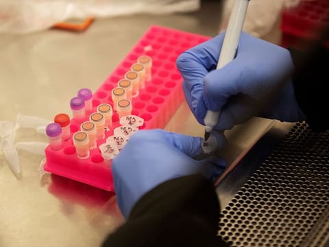 Researchers at the Microbiology Research Facility work with coronavirus samples as a trial begins to see whether malaria treatment hydroxychloroquine can prevent or reduce the severity of the coronavirus disease (COVID-19), at the University of Minnesota in Minneapolis, Minnesota, U.S. March 19, 2020.