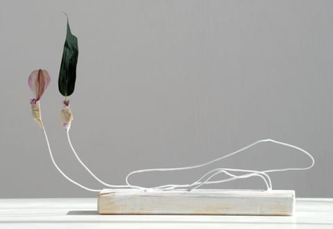 Bouquet of art: Galleries use flower power