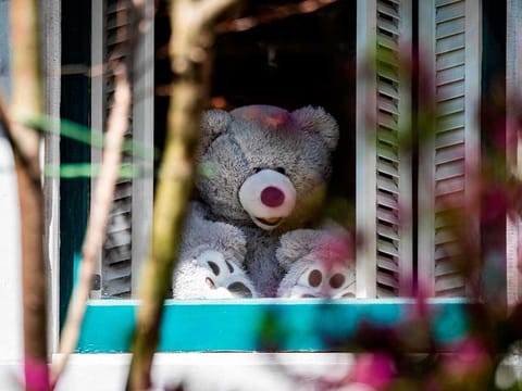 Stuffed toys (mostly Teddy bears) are being placed in windows or under porches to give children a fun and safe activity while walking around their neighbourhood with parents in Washington on April 6, 2020. A mass teddy bear hunt is under way around the world to help distract the millions of children locked down because of the coronavirus pandemic. The hunt is inspired by the children’s book We’re Going on a Bear Hunt, written by UK author Michael Rosen.