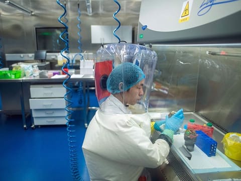 A worker inside the P4 laboratory in Wuhan, capital of China's Hubei province.