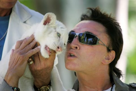 FILE PHOTO - Illusionist Roy Horn nuzzles a 6-week-old tiger cub at his home in Las Vegas, Nevada June 12, 2008. REUTERS/Las Vegas Sun/File Picture