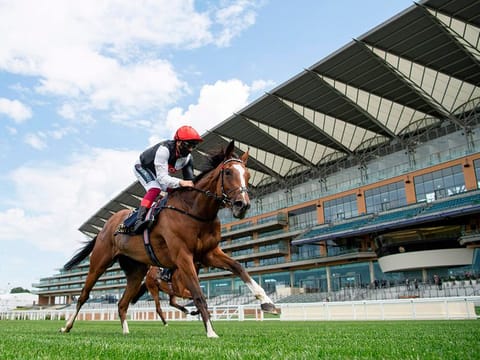 Royal ascot still managed to thrill, despite the lack of fans