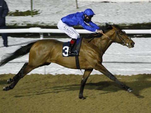 Cross Counter leads a trio of Dubai-owned horses in Gold Cup, the feature race at Royal Ascot on Thursday.