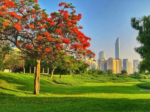 Abu Dhabi greenery and urbanity