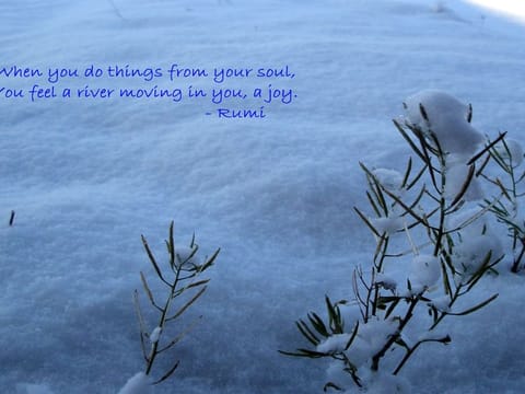 The tone and the theme of the “Thoughts for the Day” changed through the years