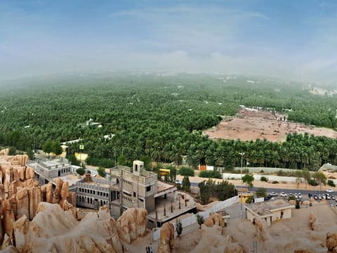 Al-Ahsa is one of the greenest regions in Saudi Arabia.