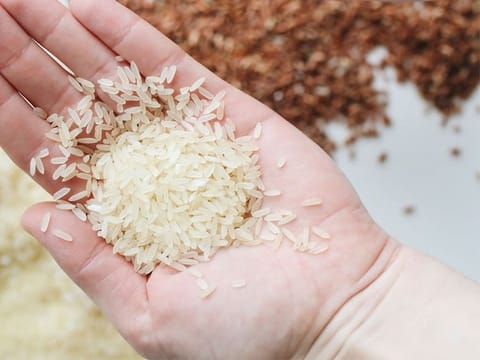 Photo of rice for illustrative purposes only