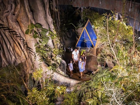 A rainforest sleepover in Dubai: You can now go camping in Green Planet