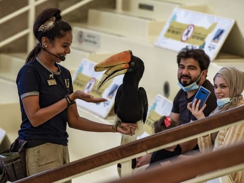 File photo of a trainer holding a Rhinoceros hornbill during the bird show at Dubai Safari Park.
