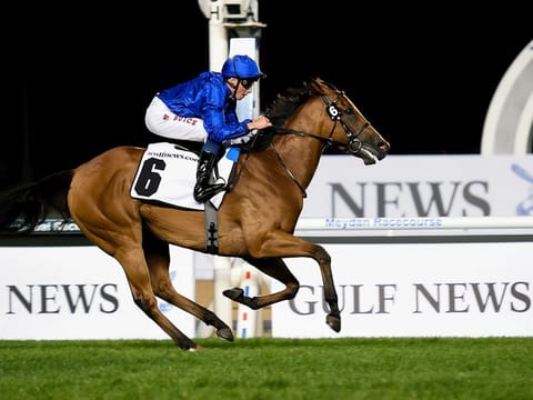 Gulf News, a long standing media partner of Dubai Racing Club, will be sponsoring a seven-race card at Meydan on Thursday.