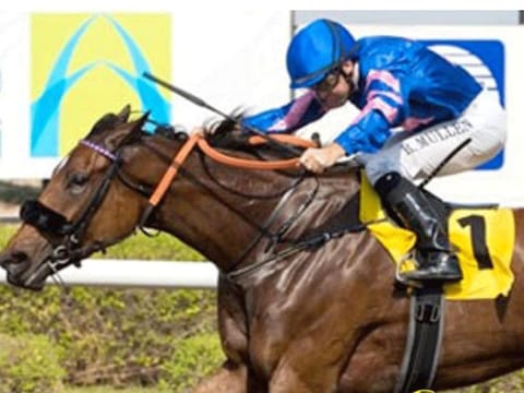 Dutch jockey Adrie de Vries guides Raayhi to Shadwell Farm Conditions Stakes at Jebel Ali Racecourse on Friday.