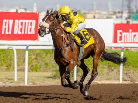 Fernando Jara, a former Dubai World Cup-winning jockey, rode Dark Silver to win the Emirates Airline Stakes Conditions event in a canter at the Jebel Ali Racecourse on Friday.