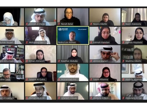 Speakers at the EDA virtual session.
