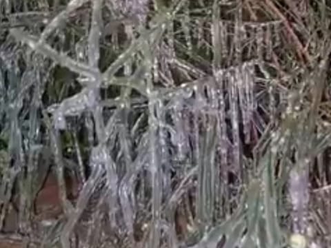 Icicles in Raknah area, Abu Dhabi