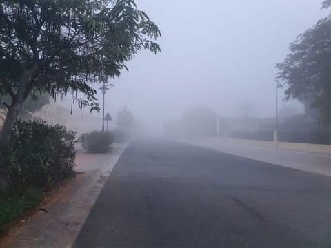 UAE weather: Fog in parts of Abu Dhabi, Dubai, Sharjah, Ajman, and Umm Al Quwain till 8:30am, temperatures to rise