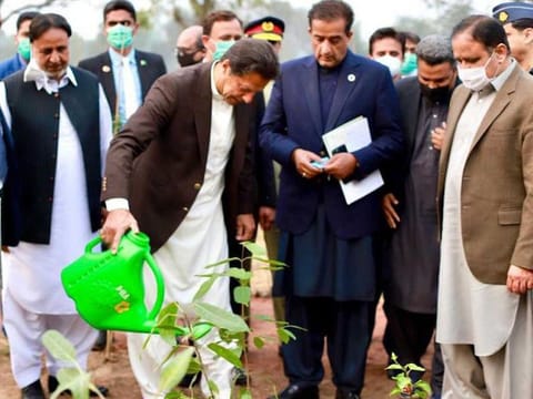Prime Minister Imran Khan inaugurates the new urban forest at Jilani Park in Lahore on Friday, February 12, 2021.