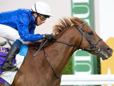 Space Blues wins for Godolphin in the the Saudi Turf Sprint at the Abdulaziz Racetrack