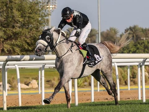 AF Asham, ridden by O'Shea, winning for Oerta.