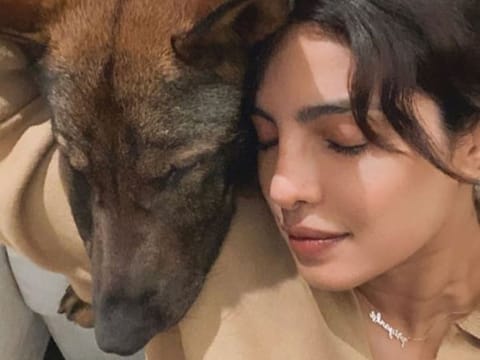 Priyanka Choppra Jonas