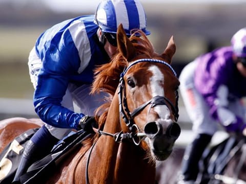 Mohaafeth, saddled by William Haggas, had been in good form this season with a hat-trick of smart wins.