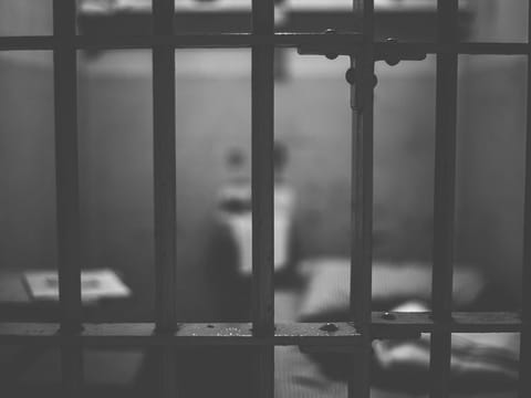 The defendant denied knowing anything about the drugs inside his luggage and said he thought he was carrying bananas.