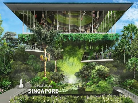 While the Singapore and Malaysia Pavilions prepare a verdant experience for visitors, Expo 2020 Dubai also draws our attention to the handful of initiatives that are hard at work to preserve the world's threatened rainforests.