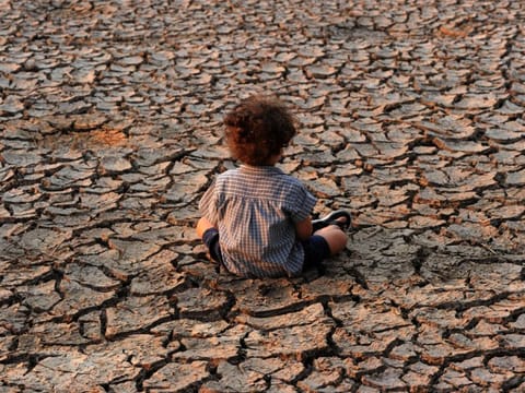 The year 2025 may become Iraq’s most water-stressed year on record.