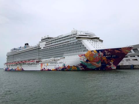 A cruise ship is docked at harbour after turning back due to positive COVID-19 case on board, in Singapore on July 14, 2021.