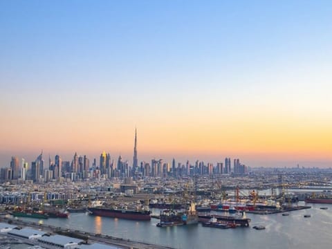 New Law transfer all operations, employees, assets and other facets of Drydocks World to Dubai Ports Authority.