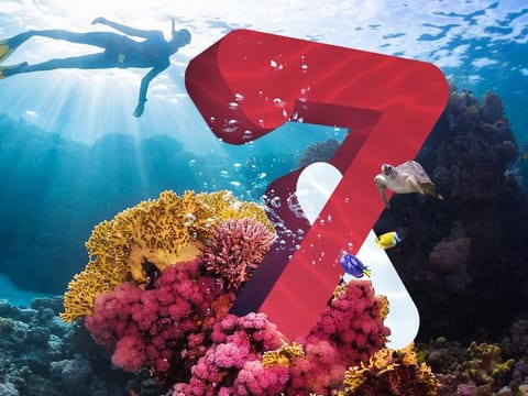 Emirates Draw is supporting marine biodiversity through its support of a ‘Coral Reef Programme’ in Fujairah that is expected to plant more than 1.5 million coral reef polyps. Each Dh50 entry into thh draw goes toward one coral polyp.