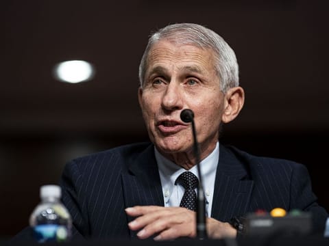 Dr Anthony Fauci, director of the National Institute of Allergy and Infectious Diseases.