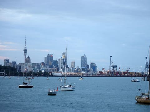 A view of Auckland city skyline.
