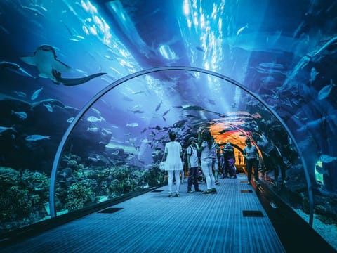 December proved a rollicking month for Dubai's destinations. And the hospitality sector cashed in.