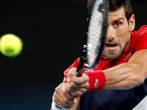 Tennis star Novak Djokovic has admitted there were mistakes on his immigration forms and to meeting a journalist despite testing positive for Covid, as Australia mulls deporting him.