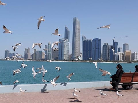 Abu Dhabi will be the headquarters of the association and its scope of activity will be the United Arab Emirates.