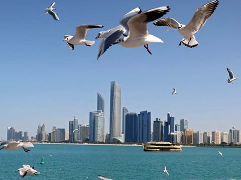 Abu Dhabi is set to get a significant boost in solar power generation.