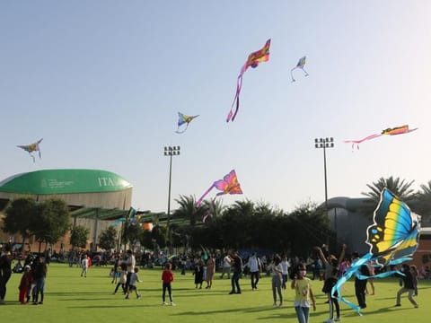 The kite-flying event sought to inspire sustainability