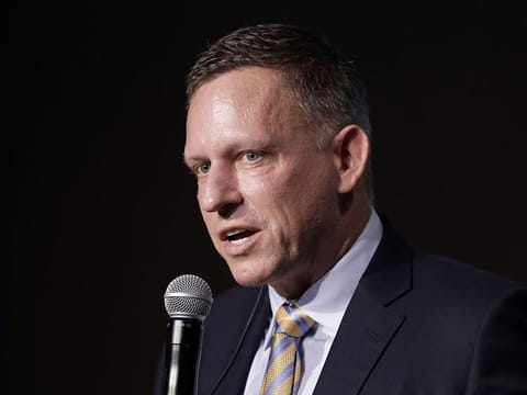 Tech investor Peter Thiel, 57. Thiel has found in US President-elect Donald Trump an ideological ally, and assailed “Big Tech”, the US education system and the “globalists” – particularly due to their impact on American workers.