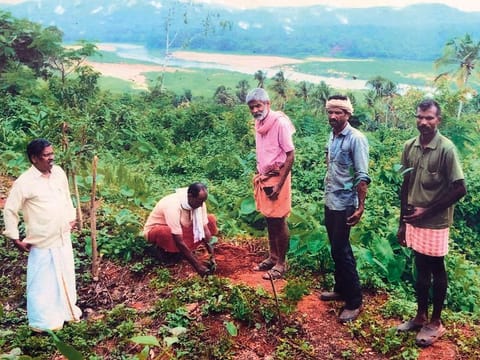 Jayan plants a jackfruit sapling in Shornur, Kerala, along with his green campaigners as part of his conservation project. He has planted more than 20,000 jackfruit trees in Kerala.